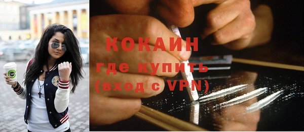 крисы Абаза