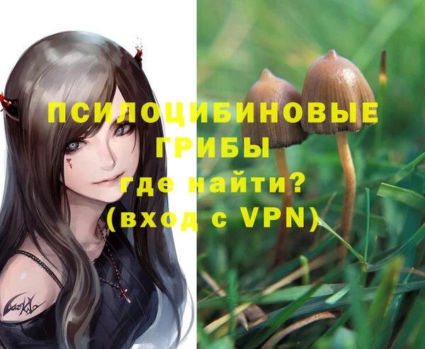 крисы Абаза