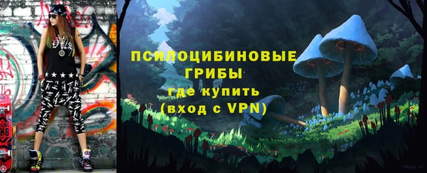 крисы Абаза