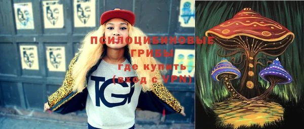 крисы Абаза