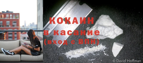 крисы Абаза